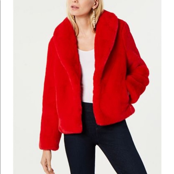 COPY - Fur Coat - Picture 1 of 3